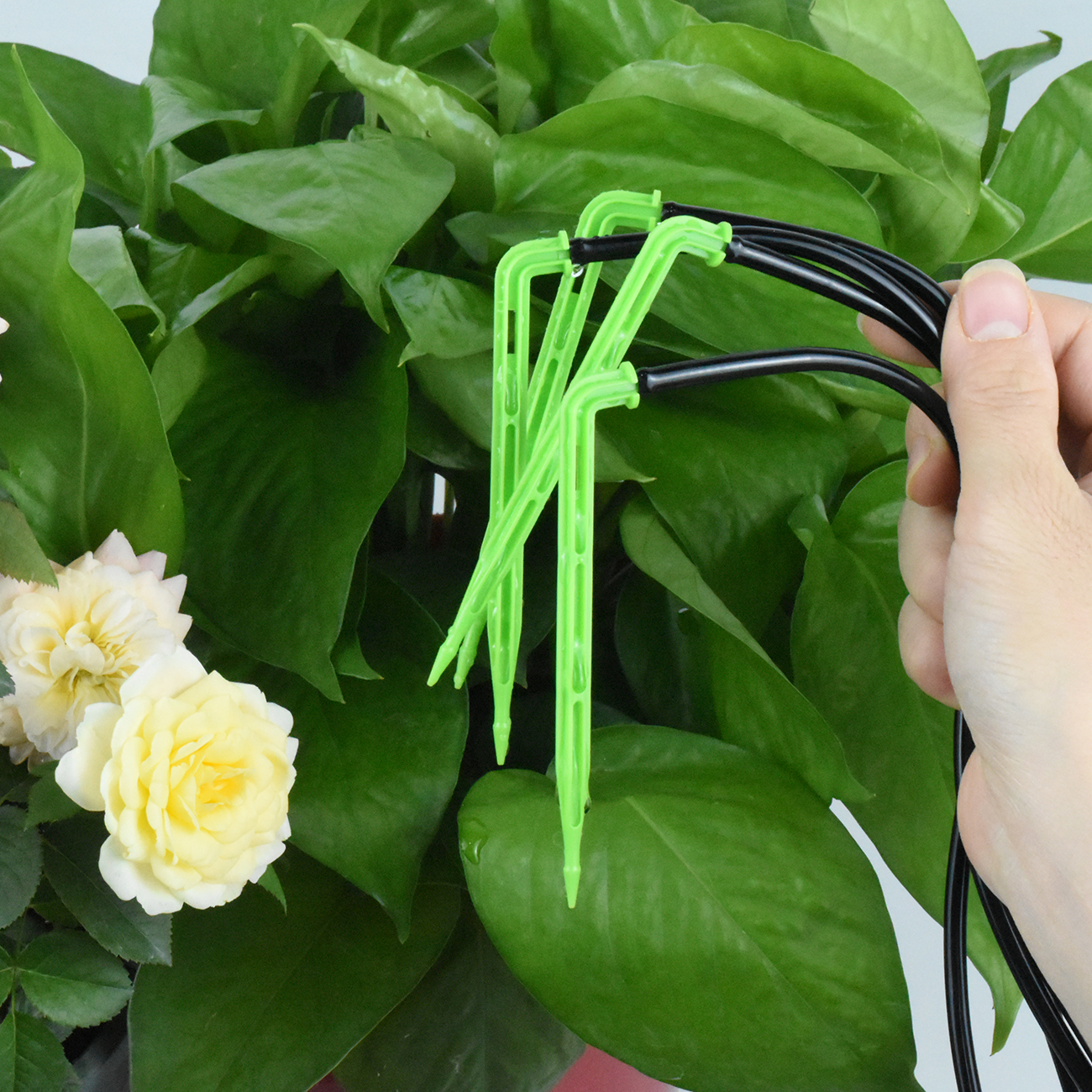 KESLA Garden 4/7mm to 3/5mm Ho - огляд і ціна Yoocaa Smart Garden