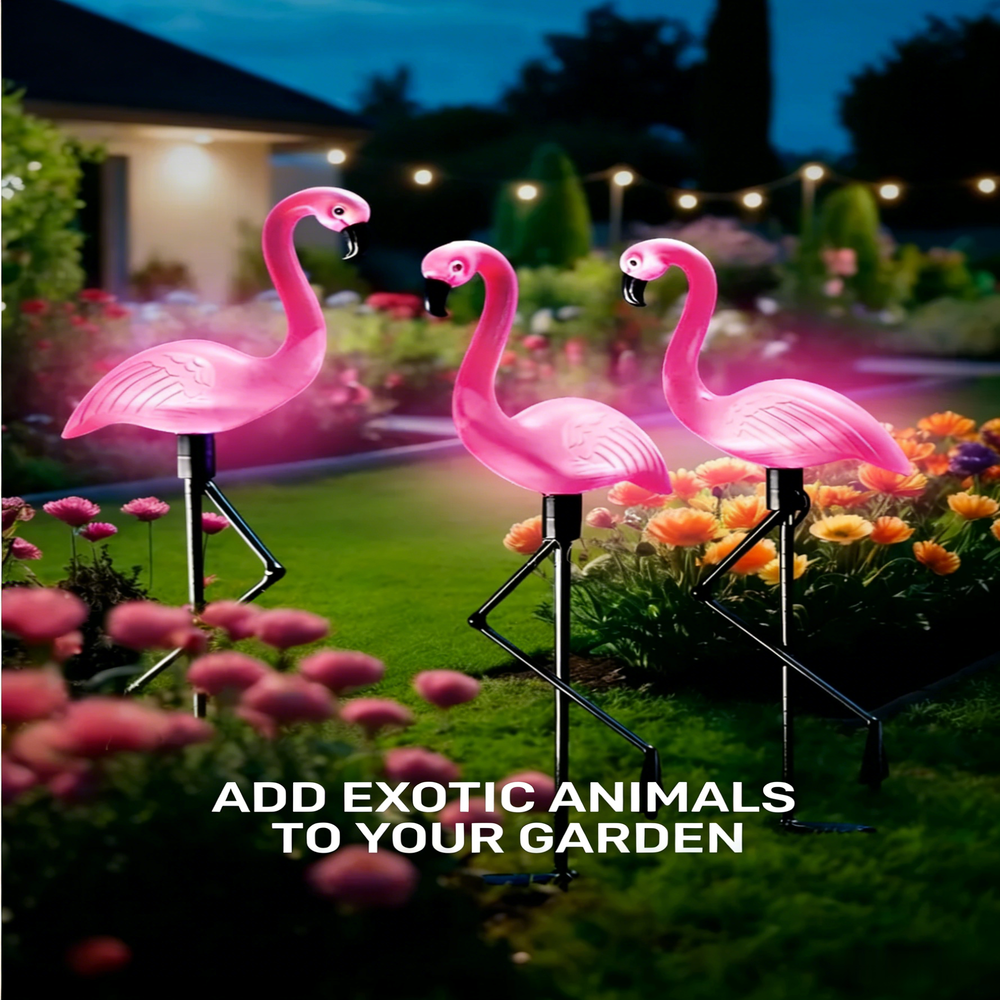 3Pcs Solar Powered Flamingo Gr - огляд і ціна Smart Zen Garden