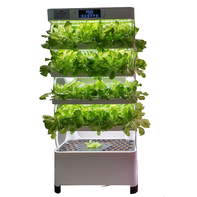 Indoor Smart Low Cost Hydropon - огляд і ціна Smart Garden System