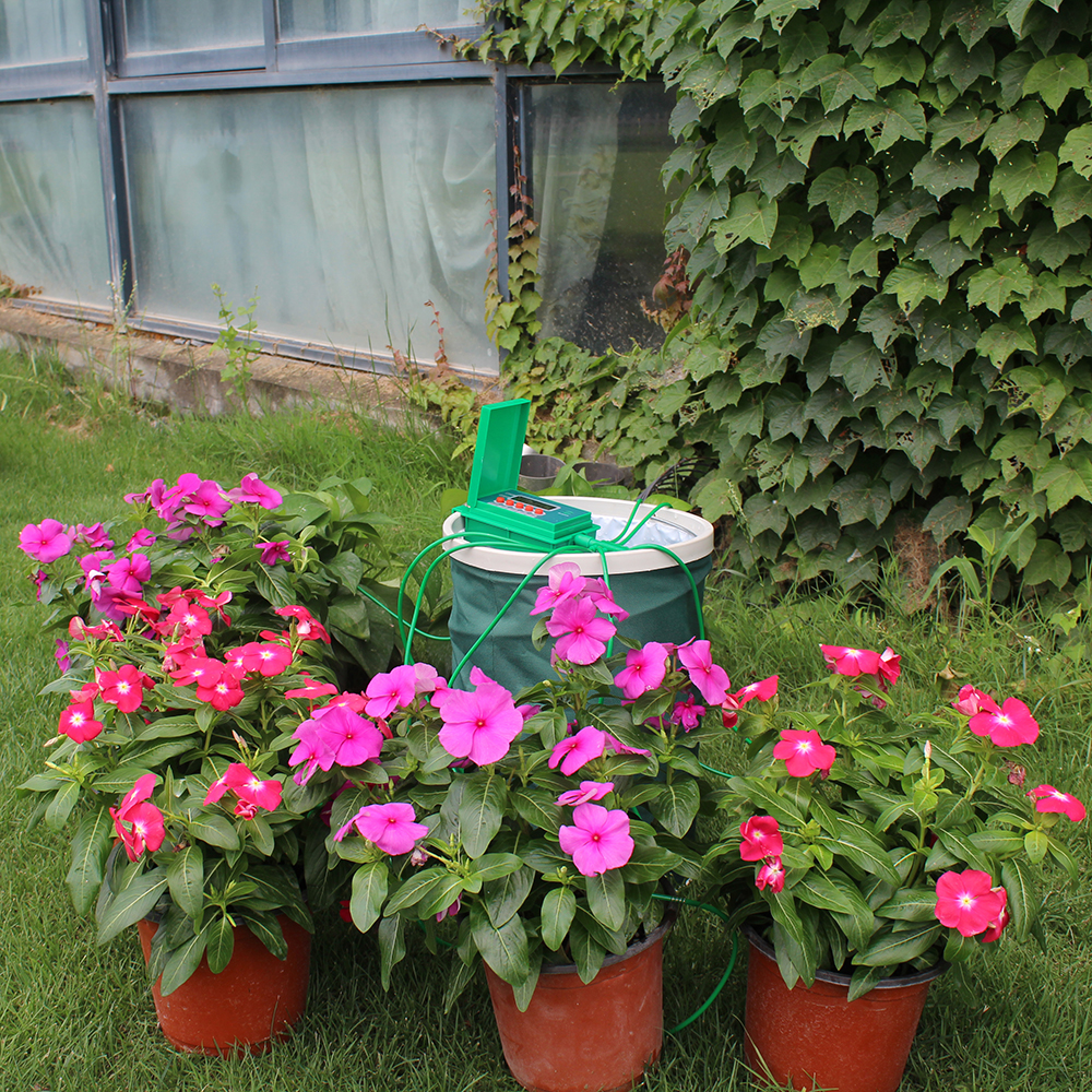 Garden Automatic Pump Drip Irr - огляд і ціна Smart Garden Sphagnum Moss