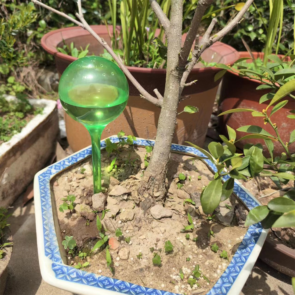 Automatic Plant Watering Bulbs - огляд і ціна Yoocaa Smart Garden