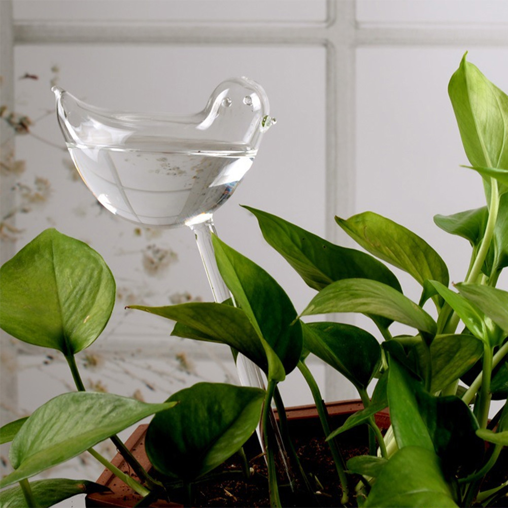 Automatic Plant Watering Bulbs - огляд і ціна Yoocaa Smart Garden