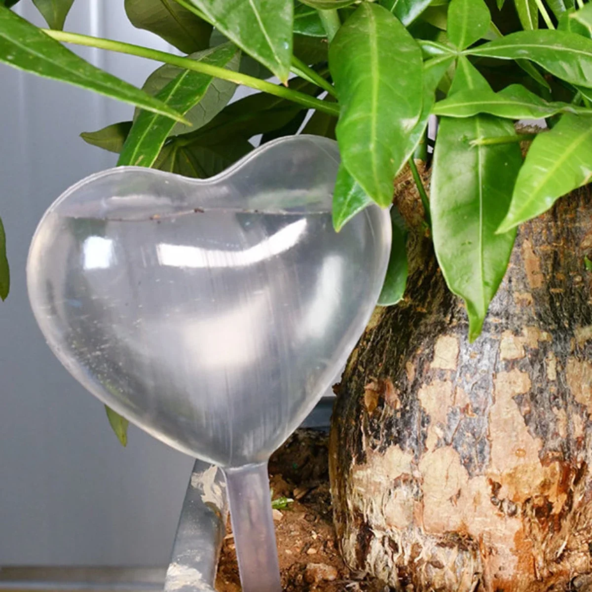 1pc Automatic Plant Watering B - огляд і ціна Yoocaa Smart Garden