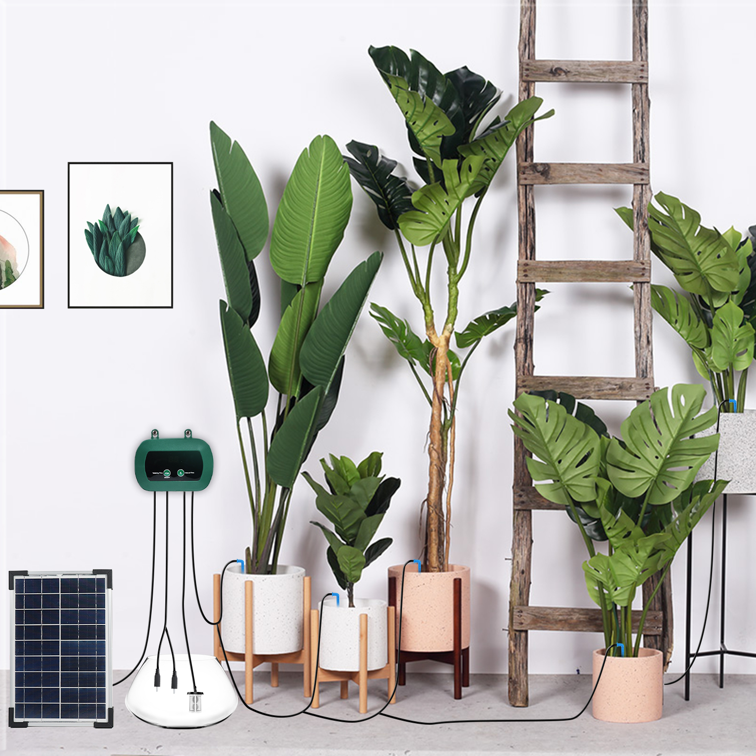 Solar Hydroponics Equipment  M - огляд і ціна Smart Garden System