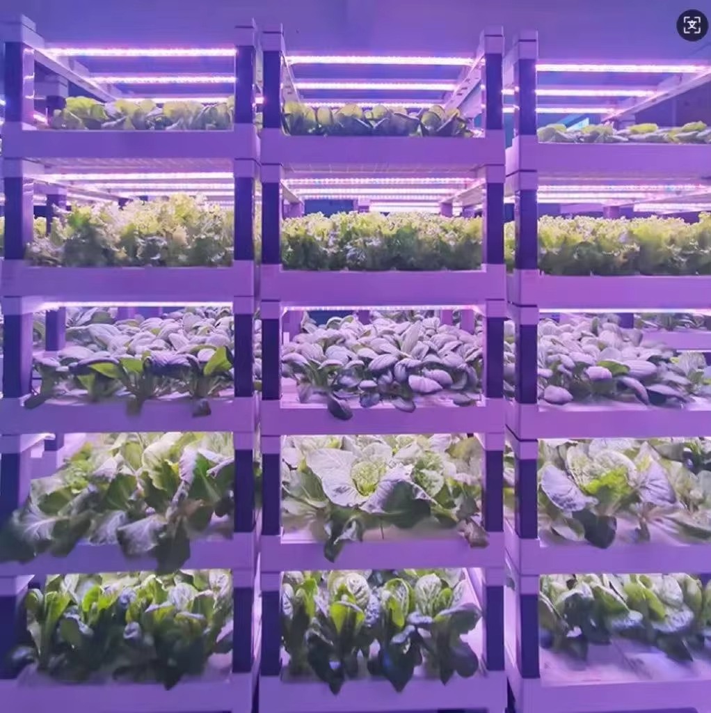 Hydroponic Grow System Greenho - огляд і ціна Smart Garden System