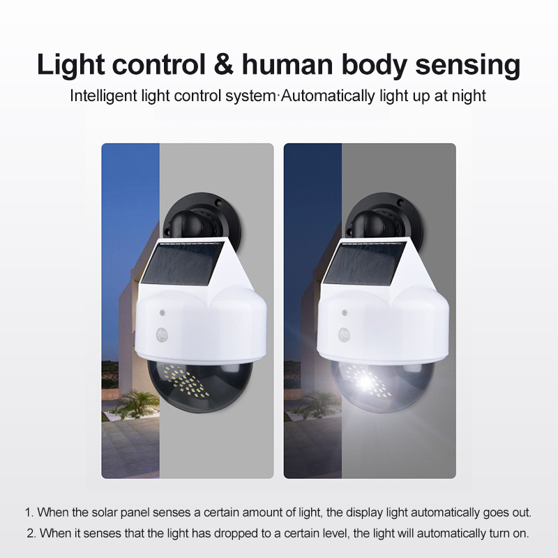 Solar Simulation Camera Motion - огляд і ціна Smart Garden Light Camera